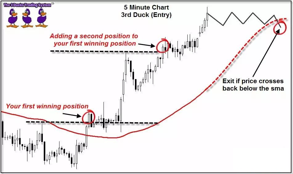 介绍一个国外深受外汇交易者青睐的“三只小鸭”交易系统(图7)
